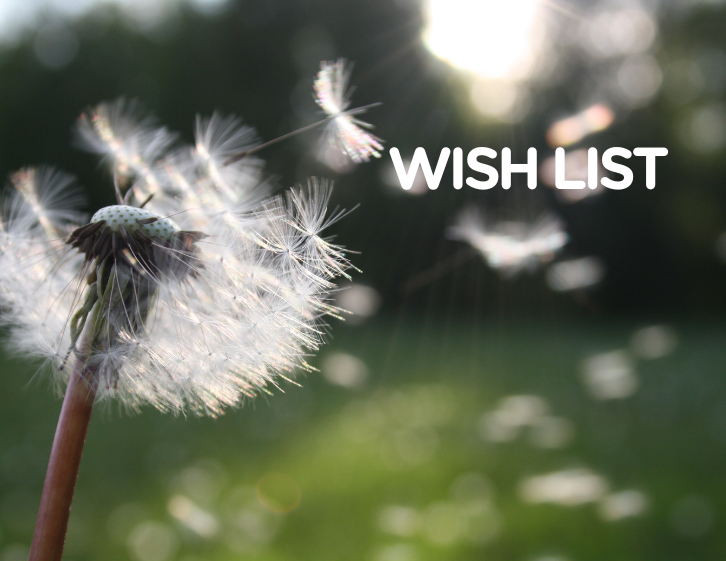 Every Gift Makes a Difference: What’s On Our Wish List and Why It Matters